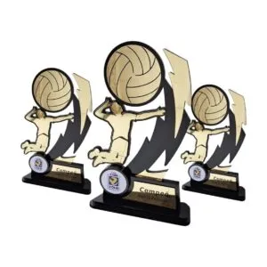 Troféu Esportivo - 12